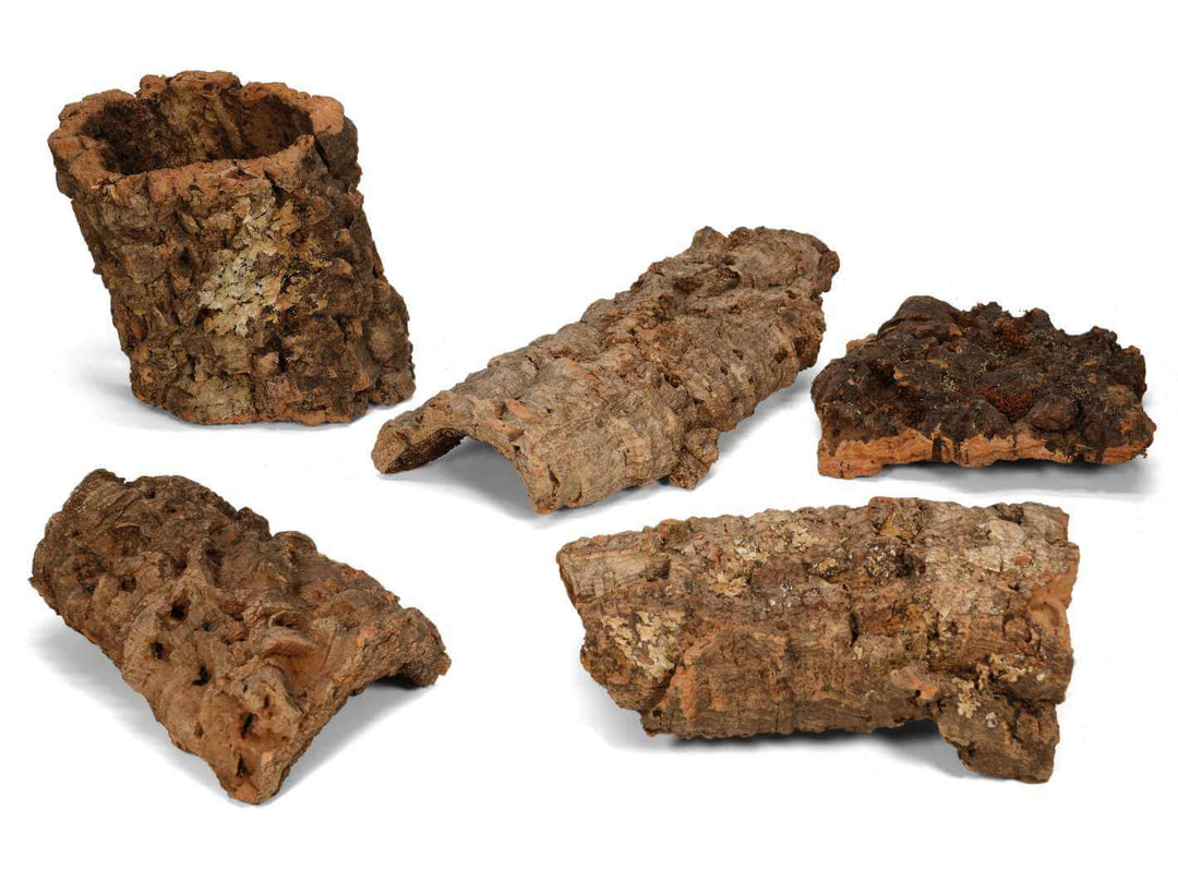 Natural cork bark pieces for terrarium decoration and planting, textured hardscape material for open and closed setups.