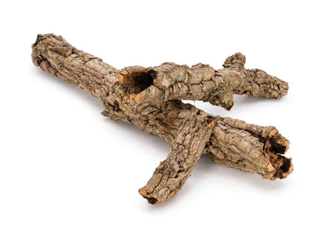 Natural vivarium cork bark arranged as climbing and hiding features