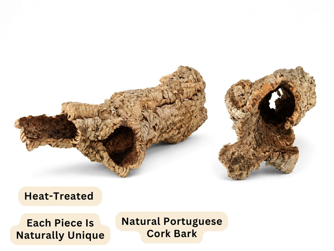 Natural Portuguese cork bark tubes for terrariums and vivariums