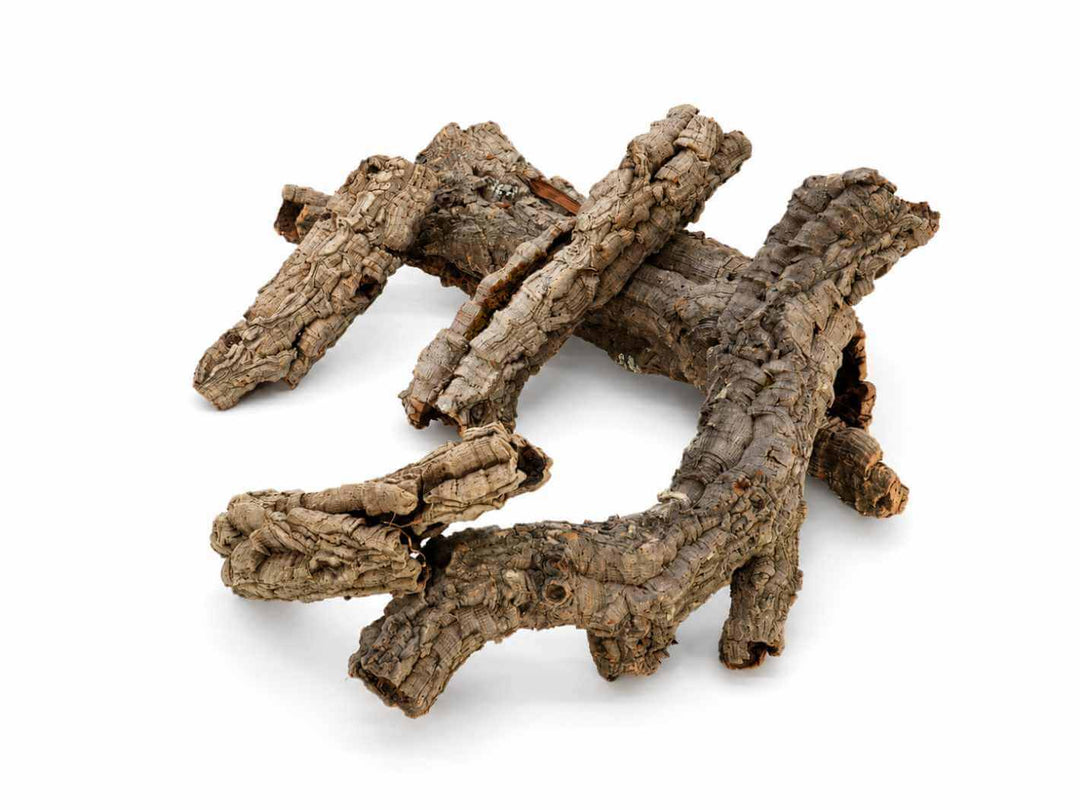 Small Cork Bark Tube – 5 Piece Starter Pack