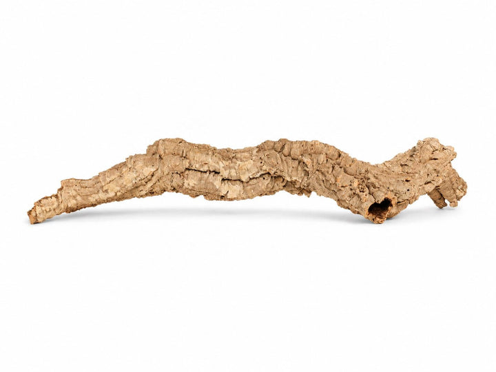 Large natural cork bark tube with hollow opening for terrariums and vivariums