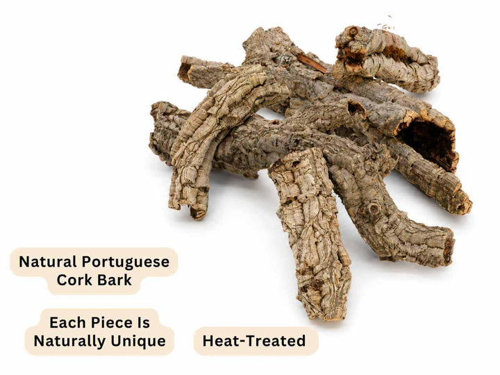 Natural cork bark suitable for terrariums, vivariums and bioactive enclosures