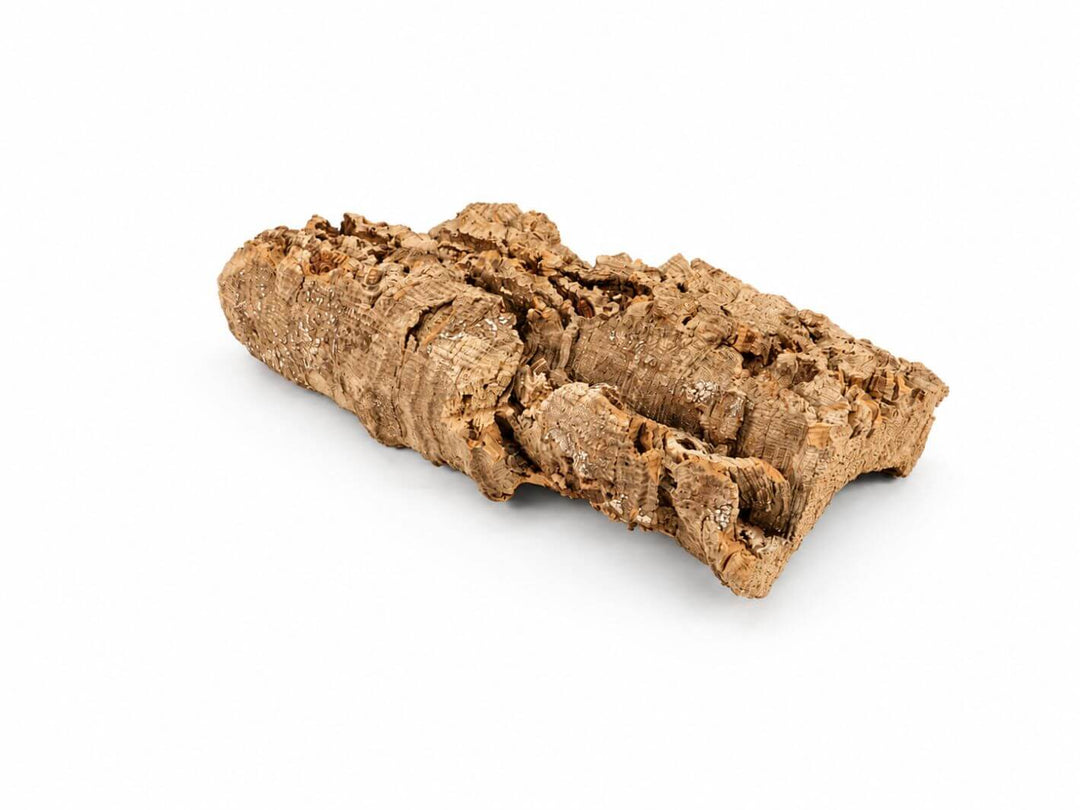 Natural Portuguese cork bark piece for terrariums, vivariums and bioactive enclosures
