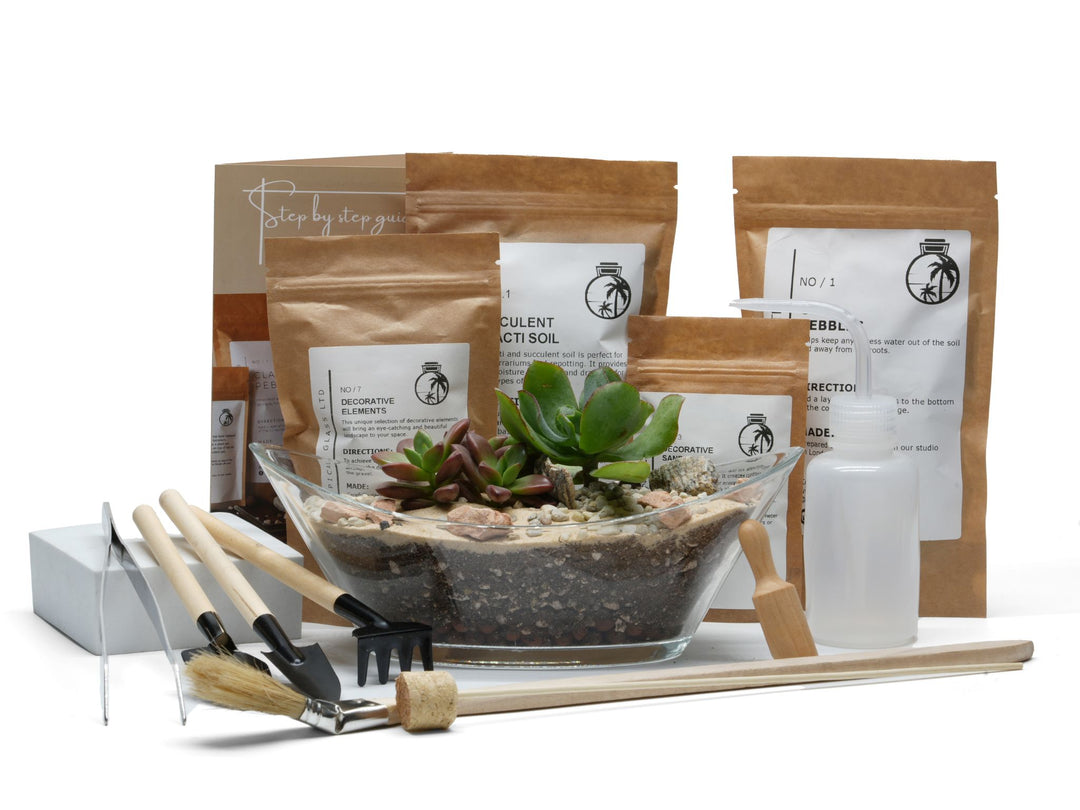 succulent plant gifts uk Open Terrarium Kit 'Venice'
