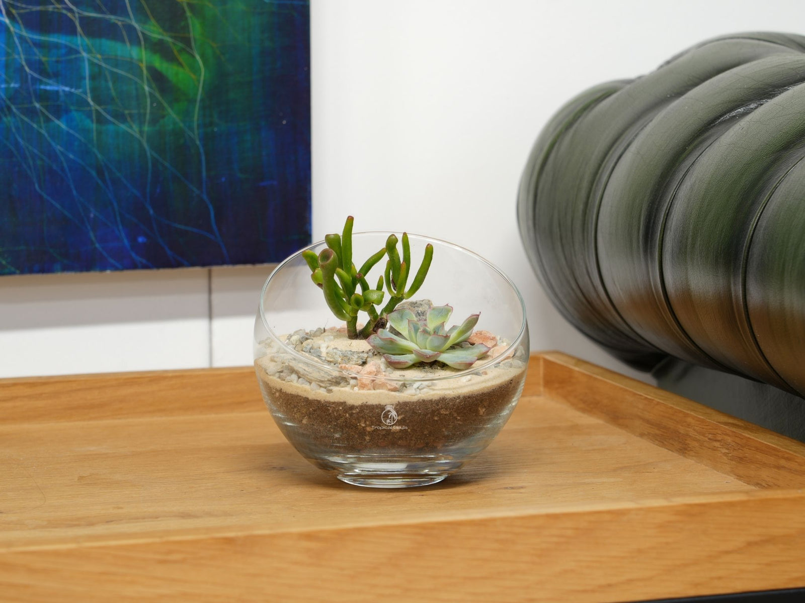 A round glass terrarium filled with sand and small pebbles features two green succulents and a larger succulent plant.