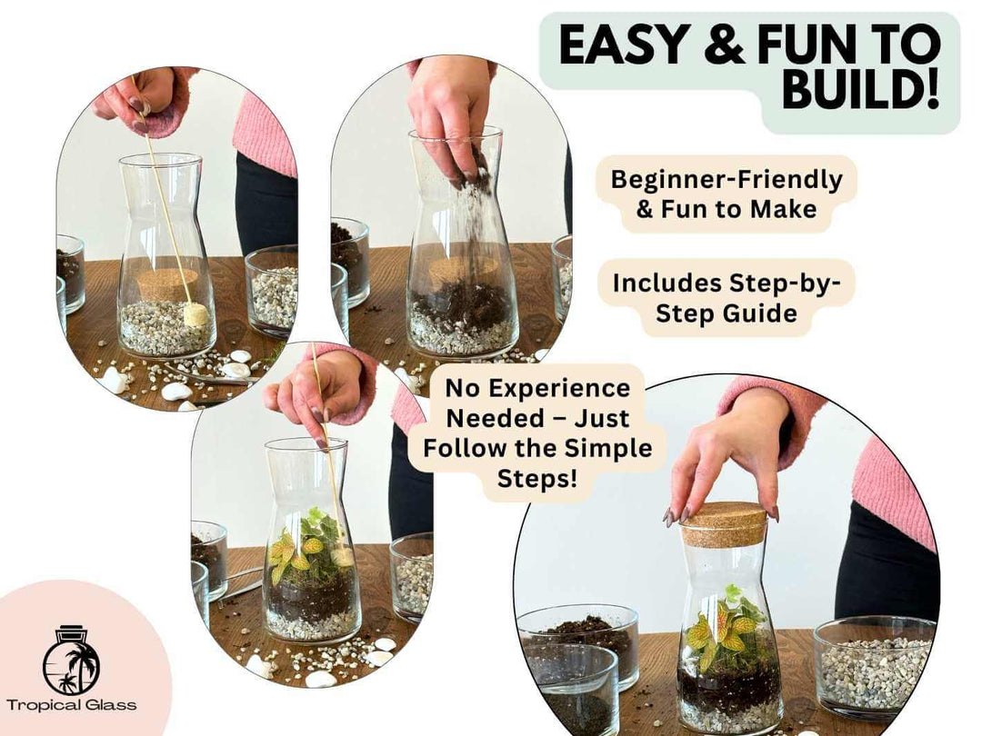 Bottle terrariums Kit, Easy and fun to build