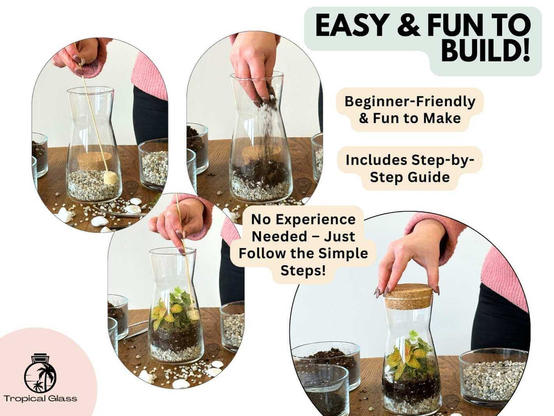 DIY terrarium kit with live plants including ivy, fittonia and natural moss