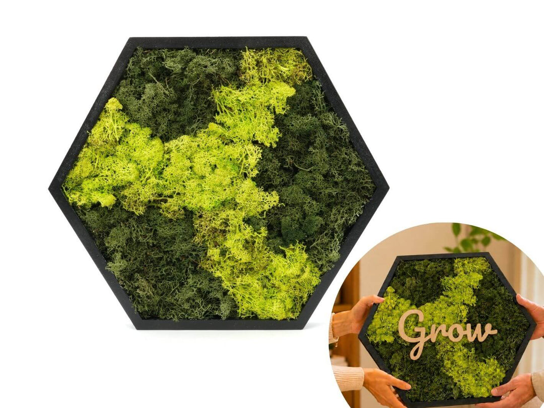 Hexagon Preserved Moss Wall Art 38 x 34 cm