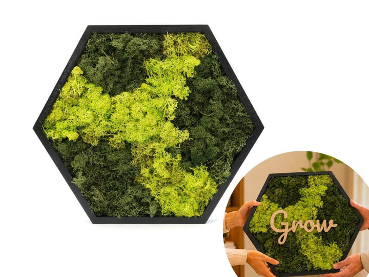 Hexagon Preserved Moss Wall Art 38 x 34 cm