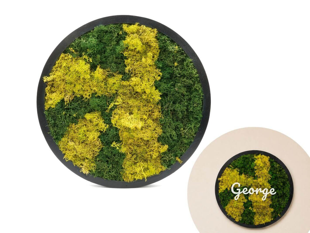Round Preserved Moss Wall Art Frame | 38 cm