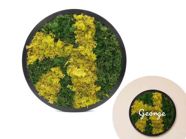 Round Preserved Moss Wall Art Frame | 38 cm