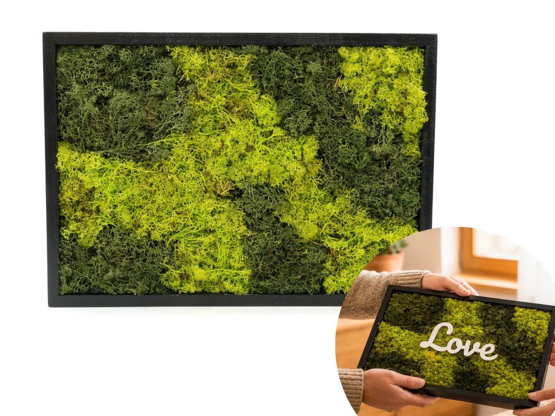 Rectangle Preserved Moss Frame Wall Art  | 39 x 28 cm