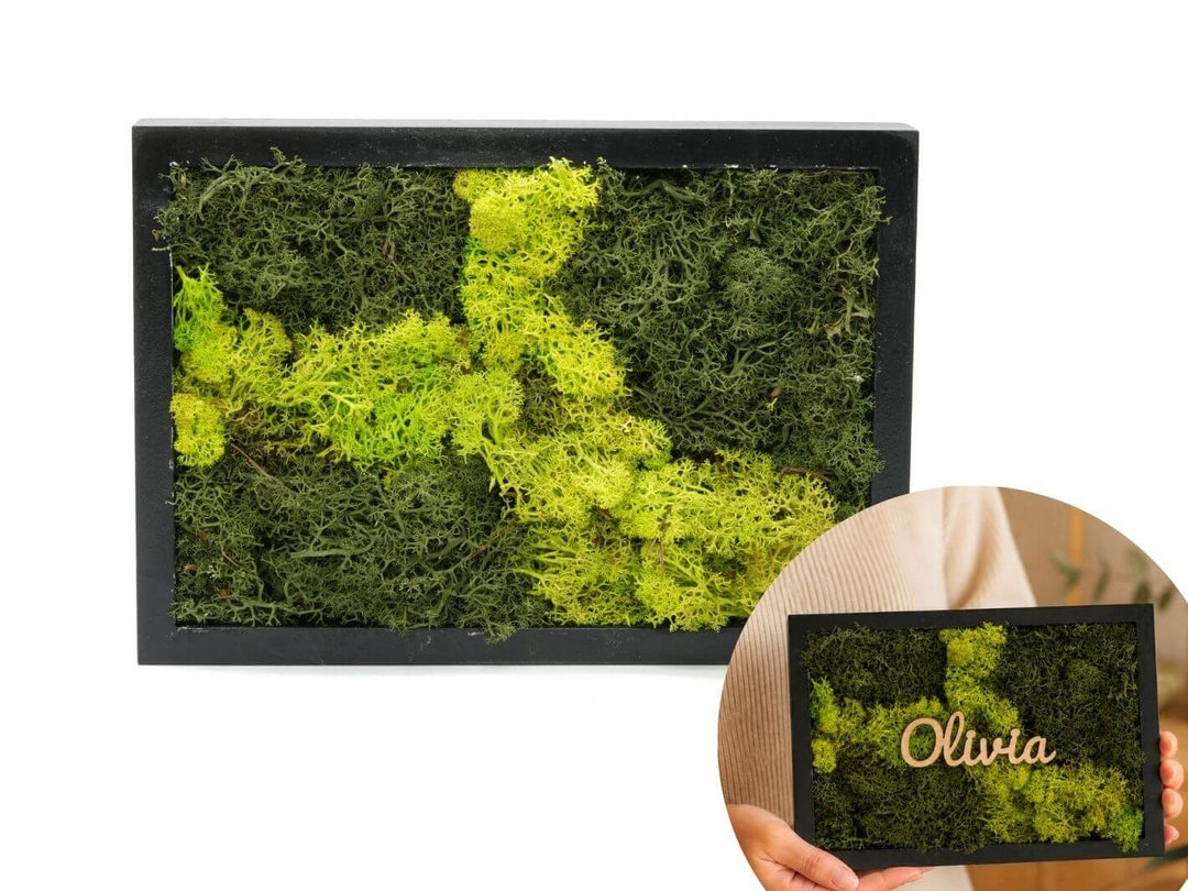 Preserved Moss Wall Art Frame | 17x24 cm
