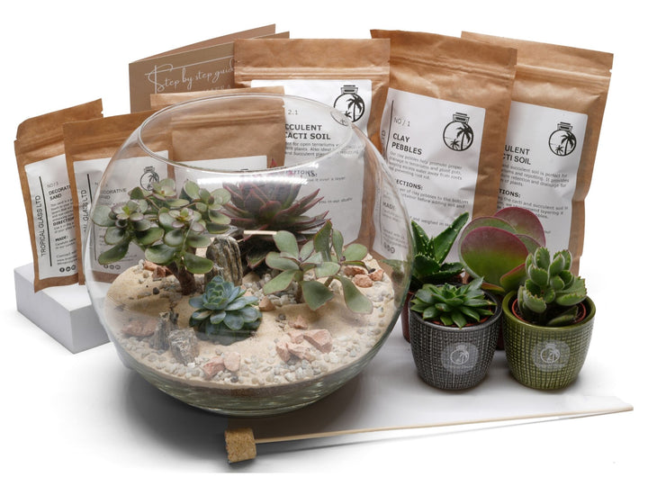 Large DIY Fishbowl Terrarium Kit | 'San Diego'