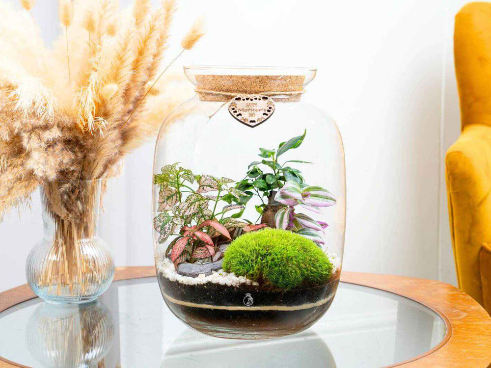  A stunning Mother’s Day planter with four live plants, including a bonsai. A unique and lasting gift for Mum who loves gardening.