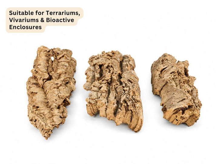 Natural Portuguese cork bark suitable for terrariums, vivariums and bioactive enclosures