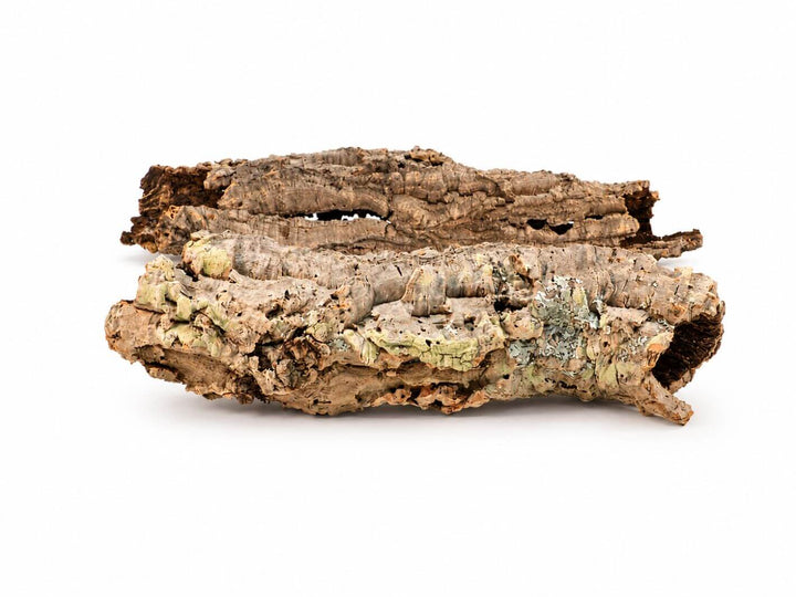 Two pieces of natural cork bark with textured, rough surfaces and small greenish patches, displayed on a clean white background.