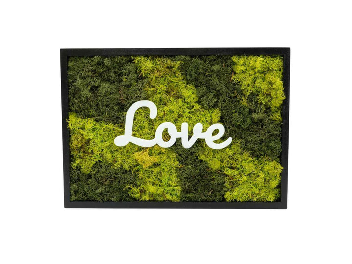 Personalised Rectangle Preserved Moss Frame Wall Art | 39 x 28 cm
