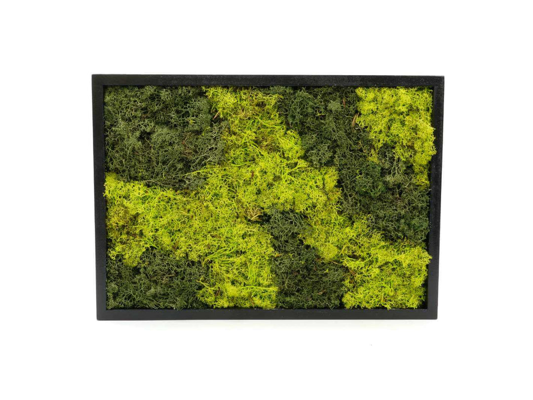 Preserved moss frame wall art, 39 x 28 cm, handmade with preserved reindeer moss in a wooden frame