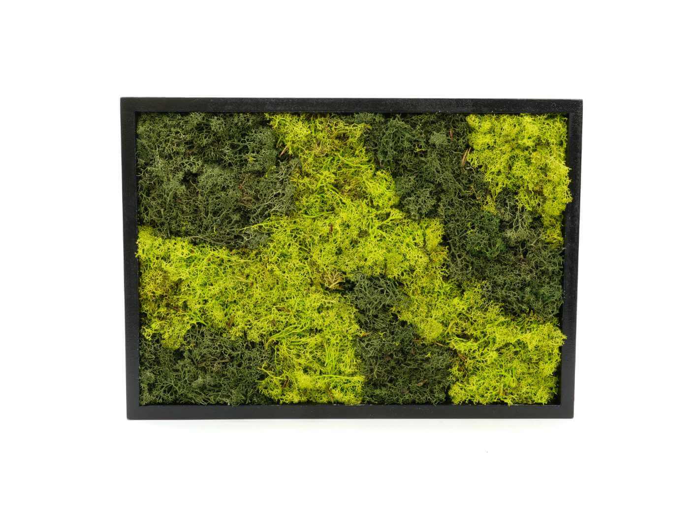 Preserved moss frame wall art, 39 x 28 cm, handmade with preserved reindeer moss in a wooden frame