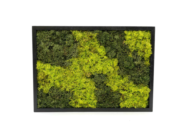 Preserved moss frame wall art, 39 x 28 cm, handmade with preserved reindeer moss in a wooden frame