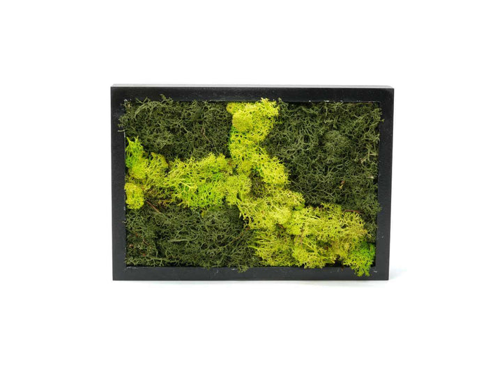 Preserved moss wall art frame, 17 x 24 cm, handmade with green moss in a black frame by Tropical Glass