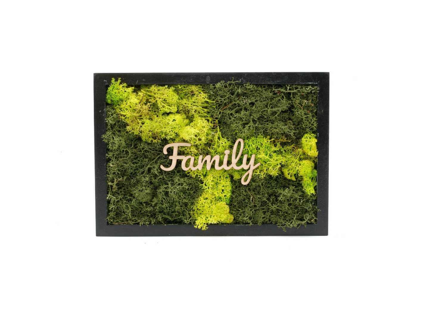 A personalized moss wall art frame features vibrant green moss in various textures, with the word Family elegantly displayed in a wooden font.