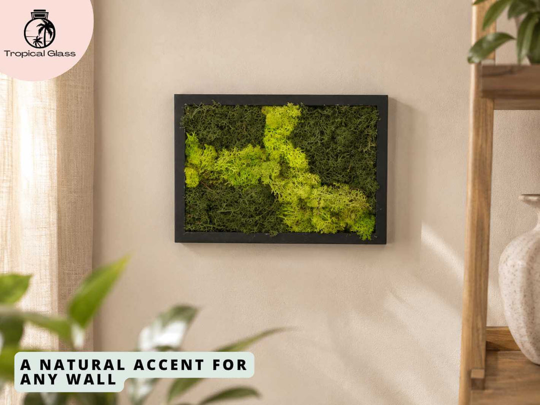 Preserved moss wall art displayed on a home wall, adding natural texture and greenery to interior decor