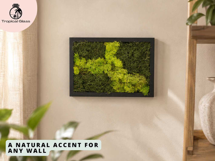 Preserved moss wall art displayed on a home wall, adding natural texture and greenery to interior decor