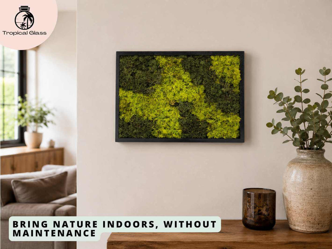 Reindeer moss frame displayed on an interior wall, creating a calming natural feature for modern home decor