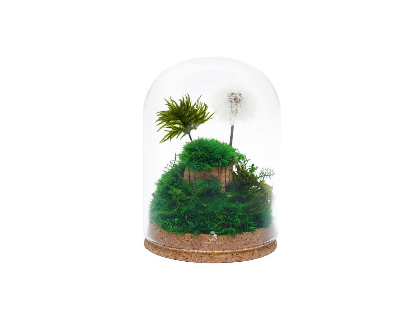 A beautifully crafted glass dome terrarium featuring vibrant green moss and a small white dandelion-like plant on a natural cork base. The terrarium showcases a miniature landscape, adding a touch of nature to any space.
