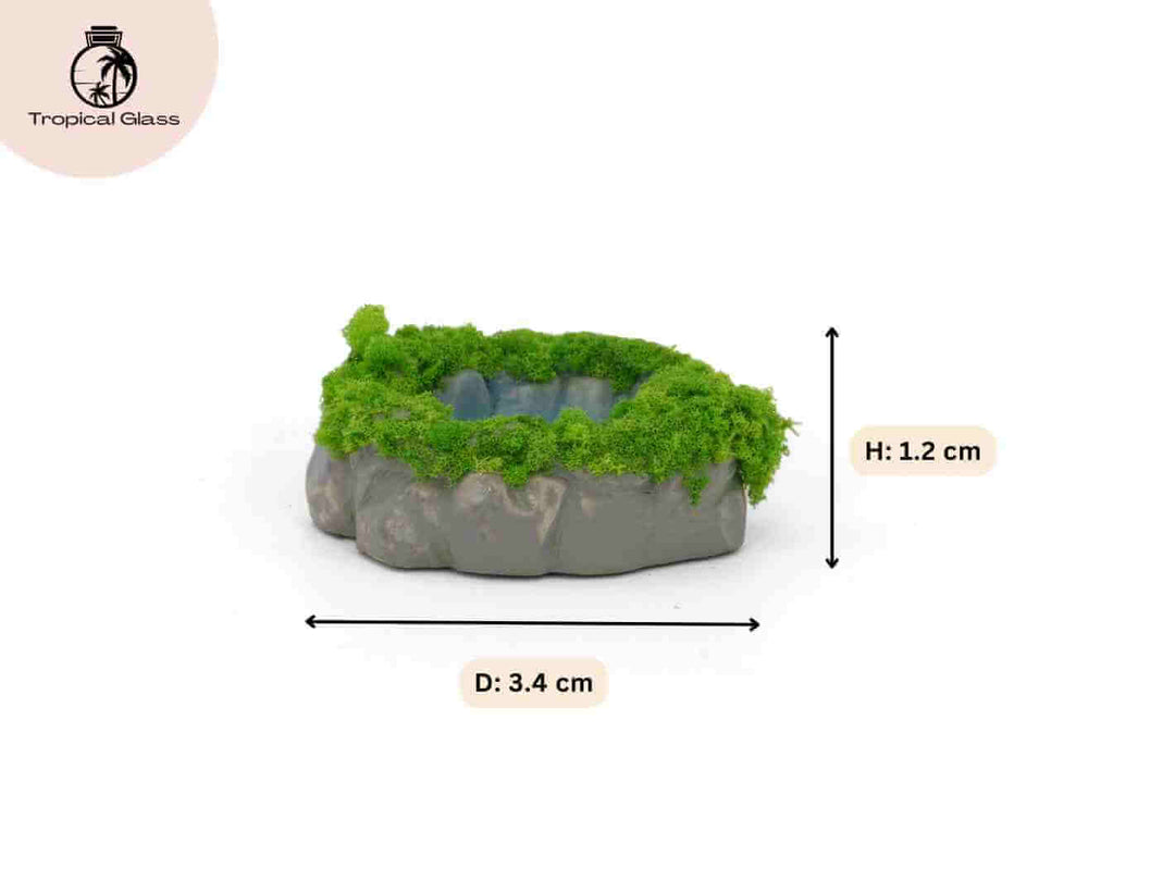 Mini resin pond ornament with size measurements for terrarium and diorama use