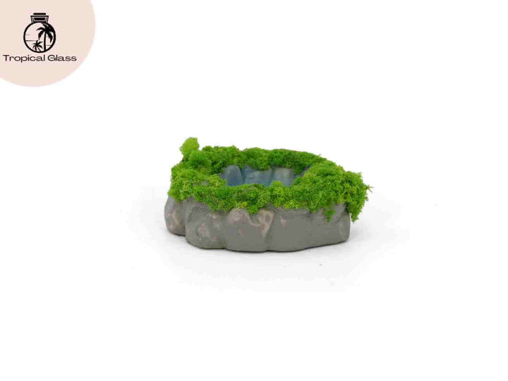 Fairy garden mini pond ornament with realistic water effect and moss detail