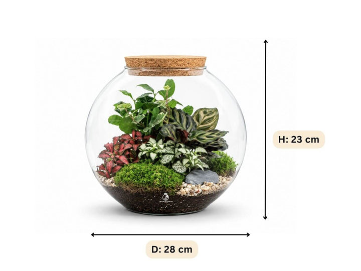 Ready-made Round Terrarium H: 23 cm | &