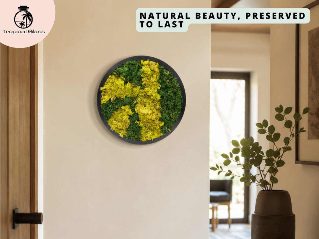 Round preserved moss wall art frame displayed in a hallway, bringing botanical texture and green decor to the space