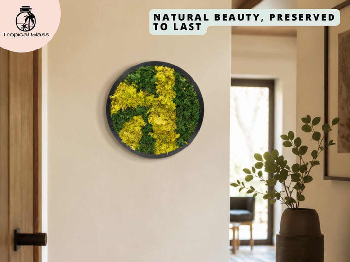 Round preserved moss wall art frame displayed in a hallway, bringing botanical texture and green decor to the space