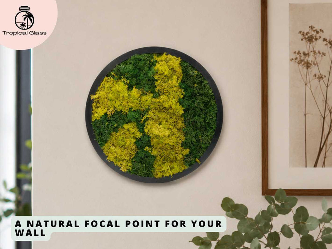 Round preserved moss wall art frame displayed in a living room, creating a natural focal point with preserved reindeer moss