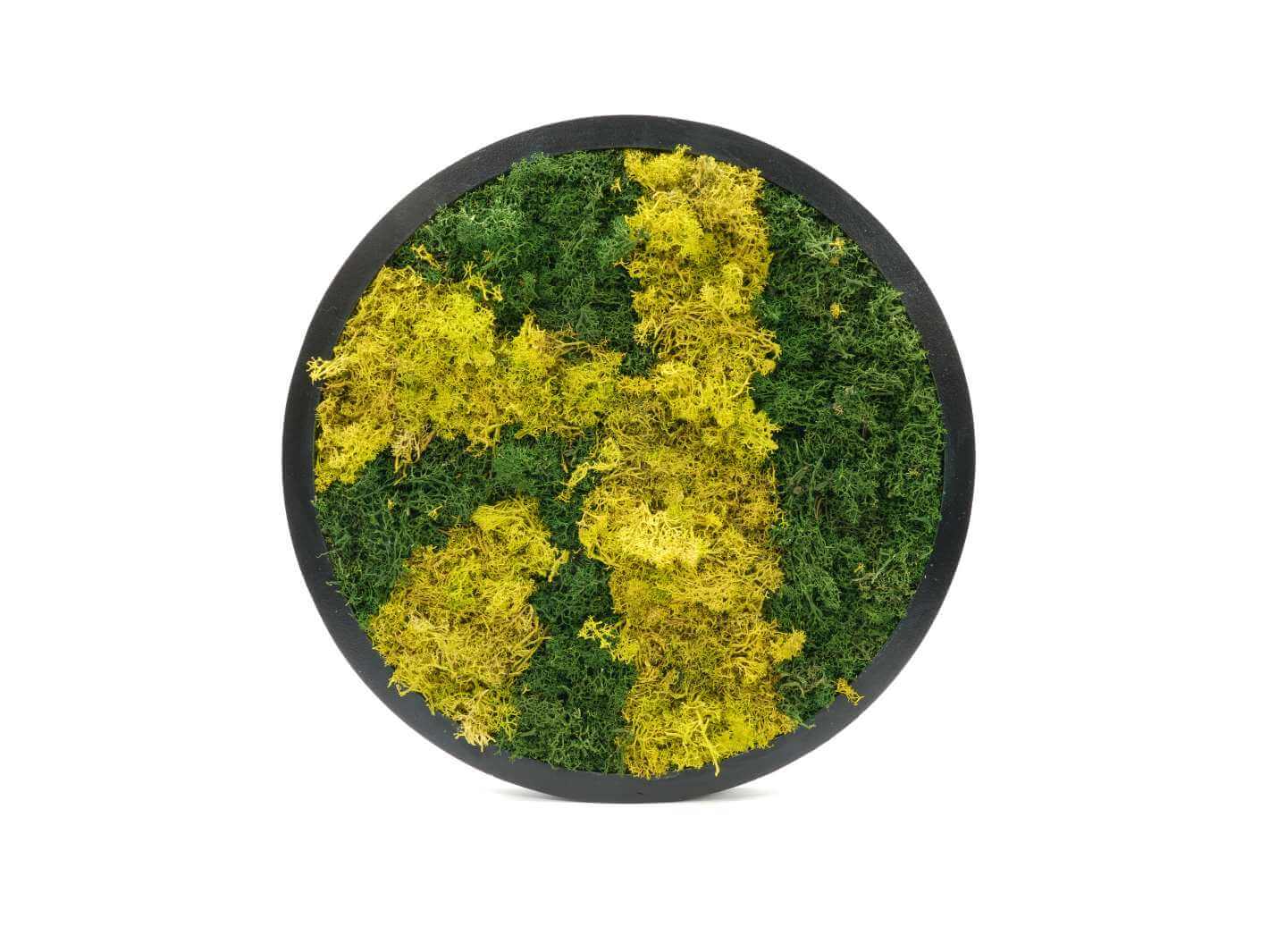 Round preserved moss wall art frame, 38 cm, handmade with preserved reindeer moss in a circular black frame
