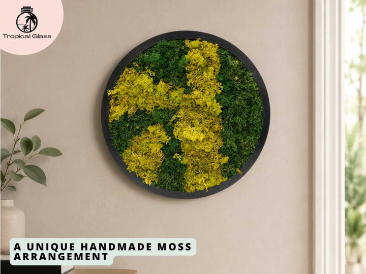 Round preserved moss wall art displayed on an interior wall, adding natural texture and greenery to the home