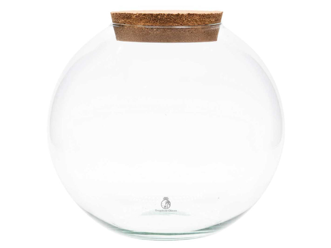 Round glass terrarium container shown on its own, empty and ready for terrarium builds