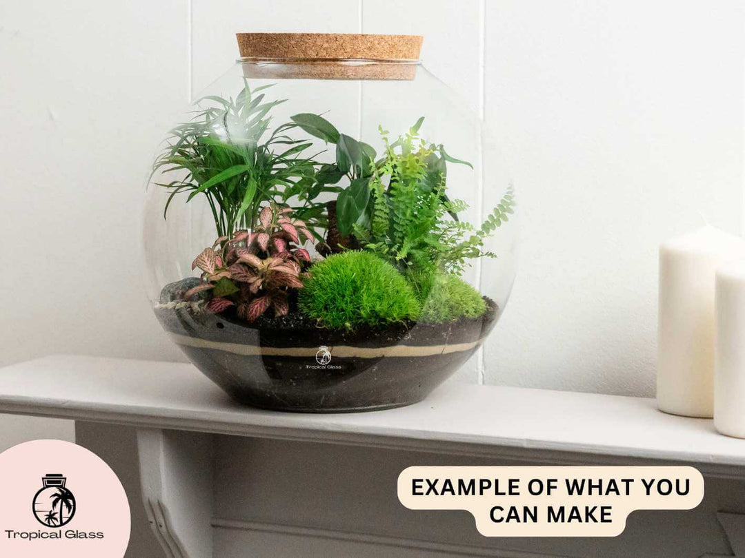 Decorative terrarium example styled as indoor home decor