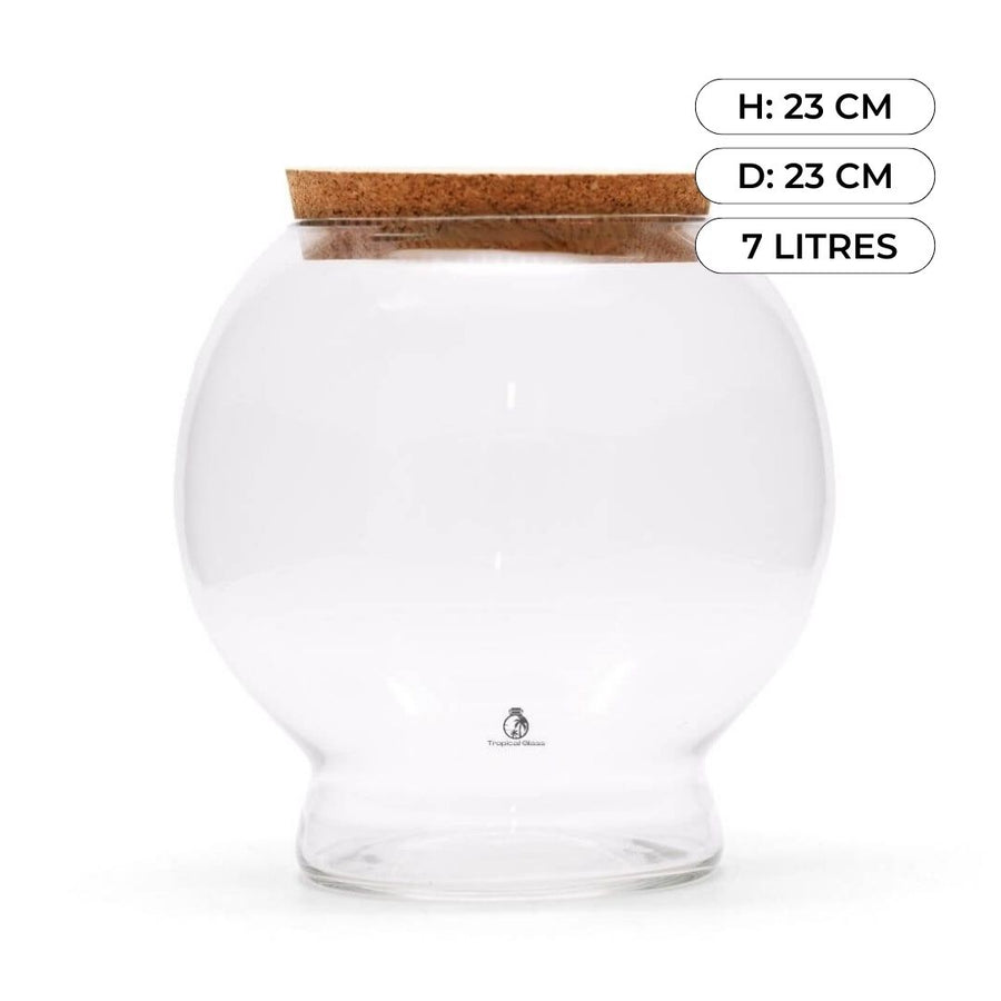 Defective Glass Terrarium Containers Sale – Tropical Glass