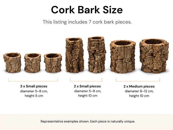 Cork bark size guide showing three natural cork cylindrical pieces labeled Small and Medium with approximate diameters and heights, plus text stating included: 7 pieces.