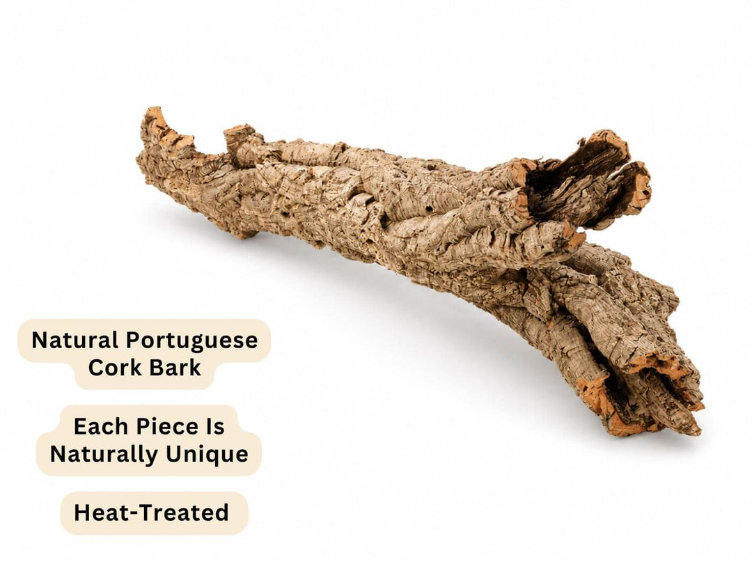 Natural cork bark cluster for vivarium and bioactive enclosure decoration