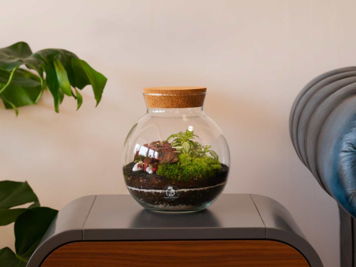 Glass terrarium with plants on a wooden surface