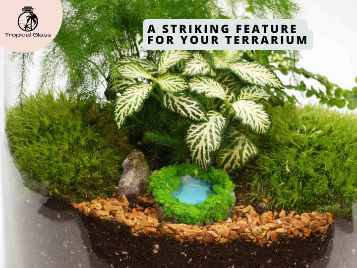 Miniature pond decoration placed inside a terrarium with moss, plants and stones