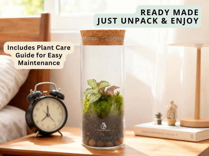 Compact small terrarium placed on wooden desk with live plants and moss
