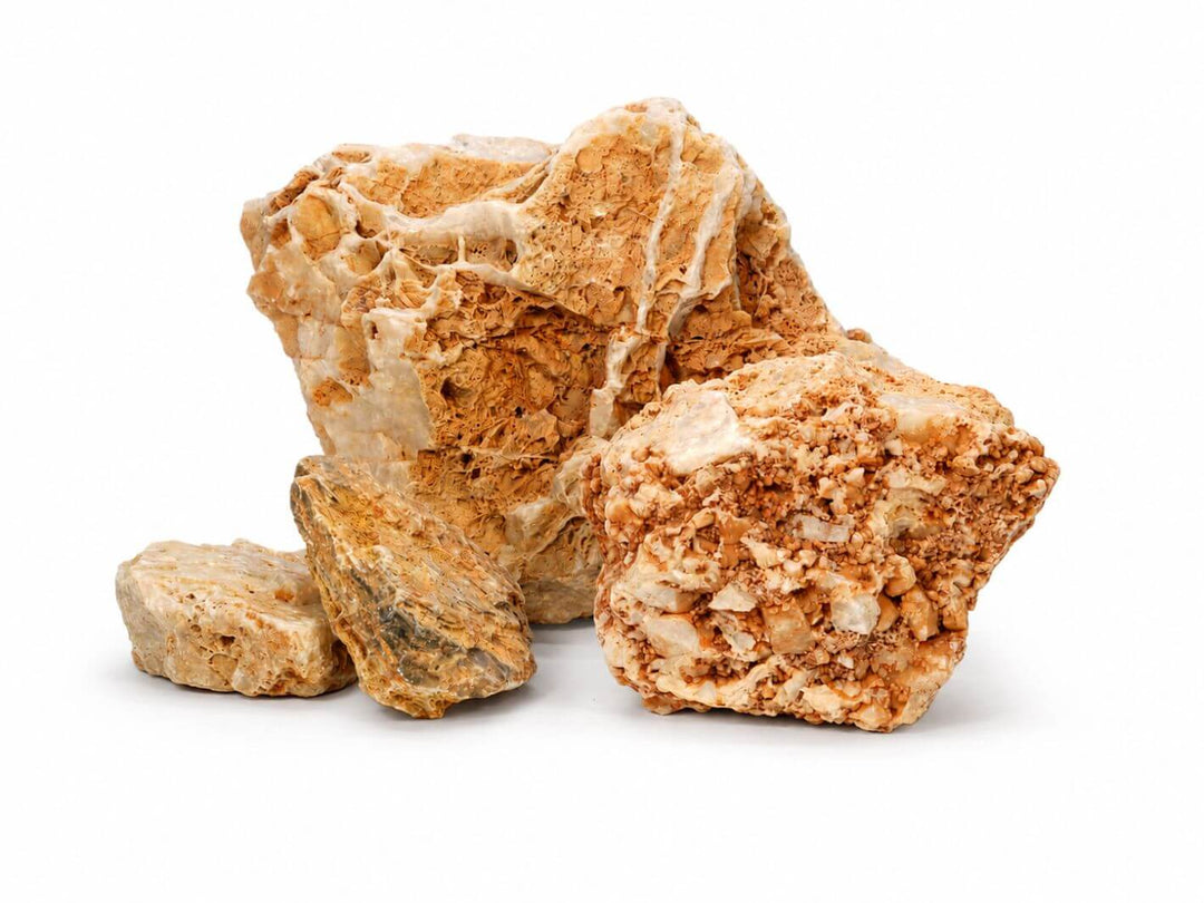 Natural decorative Spaghetti Rock for planted terrariums and habitat displays
