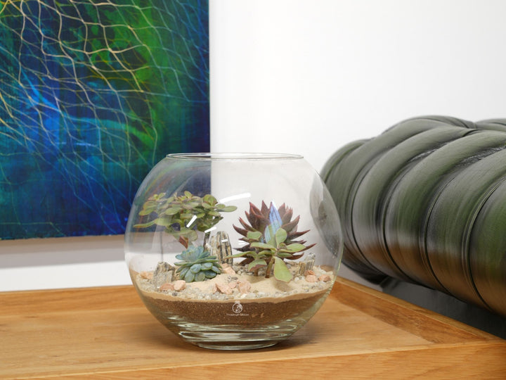 Large DIY Fishbowl Terrarium Kit | 'San Diego'