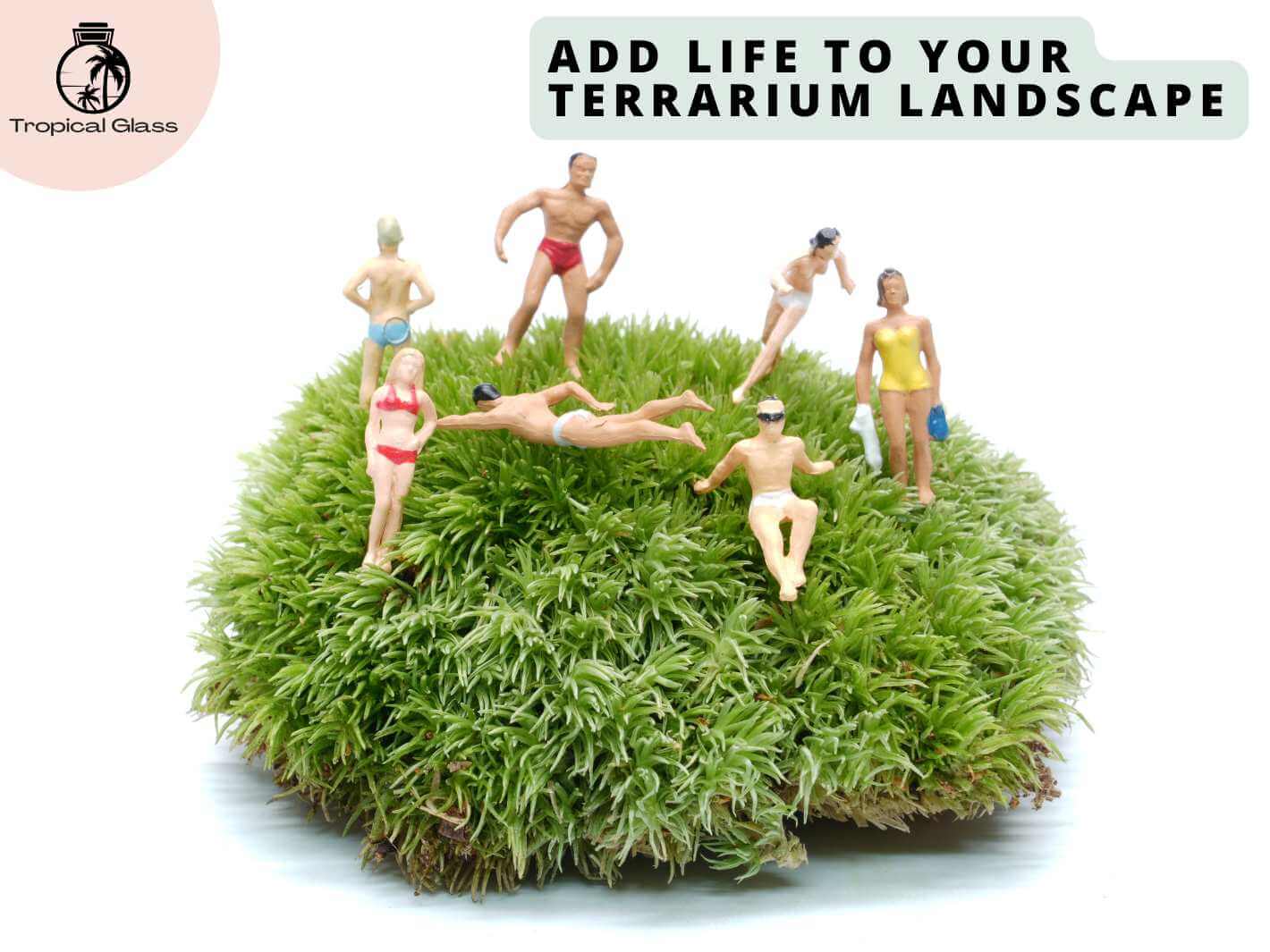 Mini beach swimmer figurines placed on sand inside a terrarium display
